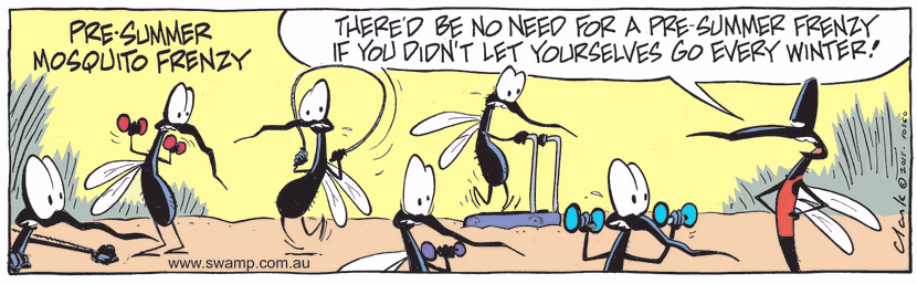 The pre-summer mosquito frenzy to get fit is in full swing as the mosquitoes have let themselves go during winter. Swamp Cartoon - Pre-Summer Mosquito FrenzyApril 25, 2022