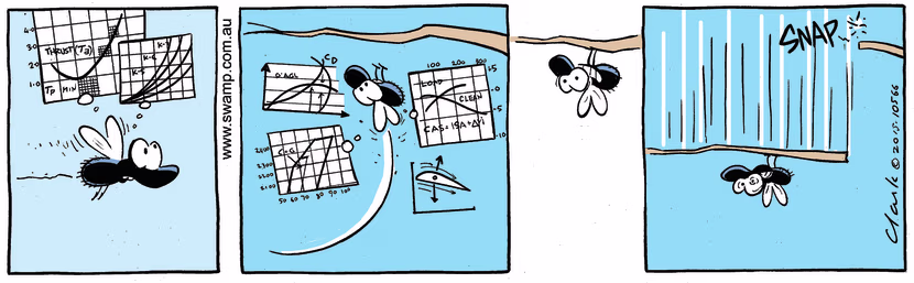 As Fly is coming into land upside down on the branch the weight of algorithm calculations makes branch snap. Swamp Cartoon - Weight of Algorithm CalculationsApril 29, 2022