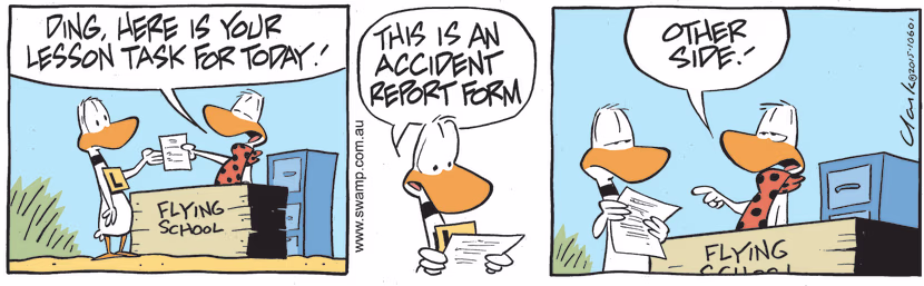 Flight Theory Instructor hands Ding Duck his lesson task for the day and discovers it's written on accident report form. Swamp Cartoon - Lesson Task for the DayMay 13, 2022