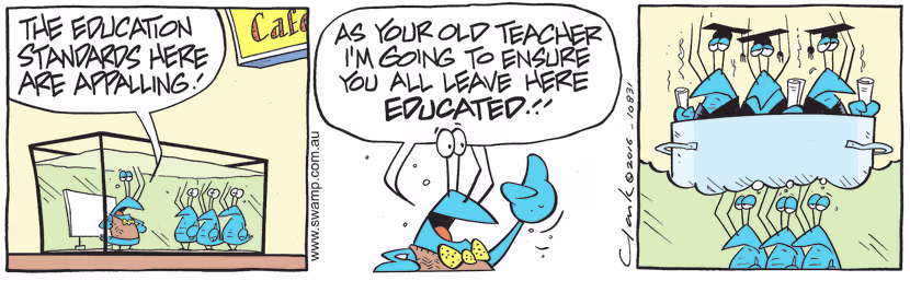 Grumpy Old Teacher declares to the crayfish education standards are appalling and he wants them to leave educated. Swamp Cartoon - Education Standards are AppallingSeptember 6, 2022