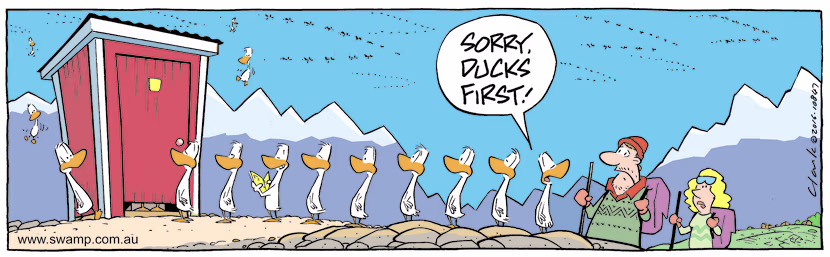 Mountain hikers have to wait in queue behind a long line of ducks to use the toilet - ducks have priority. Swamp Cartoon - Ducks Have PrioritySeptember 19, 2022