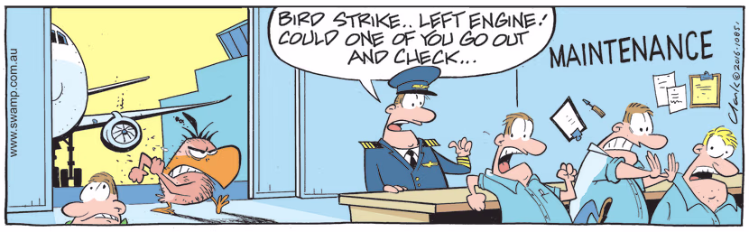 The Captain is speaking with Maintenance to check the left engine for birdstrike when they all suddenly run away. Swamp Cartoon - Speaking With MaintenanceSeptember 23, 2022