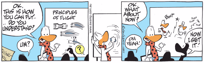 Flight Theory Instructor is giving lesson on principles of flight and when students don't understand he explains it another way. Swamp Cartoon - Principles of FlightOctober 15, 2022