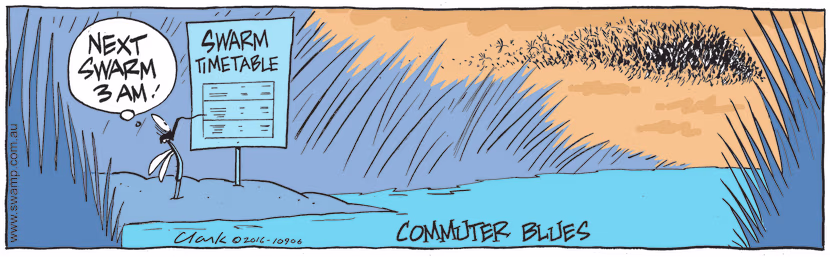 Everyone hates missing their commute and having to check the timetable for how long till the next ride. Swamp Cartoon - Check the TimetableOctober 25, 2022