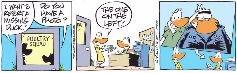 A Swamp Duck visits the Poultry Squad to report a missing friend who was last seen messing with a Wild Duck. Swamp Cartoon - Report a Missing FriendNovember 11, 2022