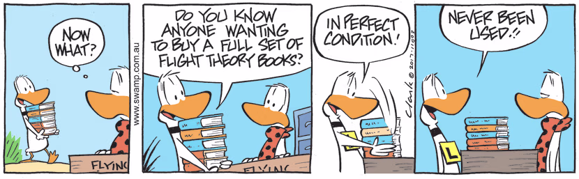 Flight Theory Instructor sees Ding Duck approaching with complete set of flight theory books. Swamp Cartoon - Flight Theory BooksDecember 19, 2022