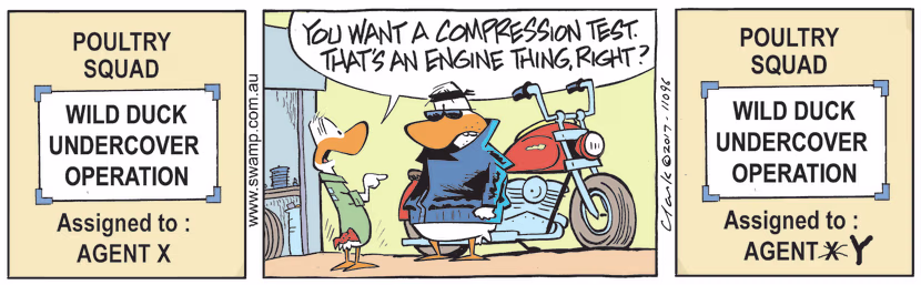 At Poultry Squad Head Office they are mounting Wild Duck undercover operation and Agent X has come in for a compression test. Swamp Cartoon - Compression TestJanuary 28, 2023