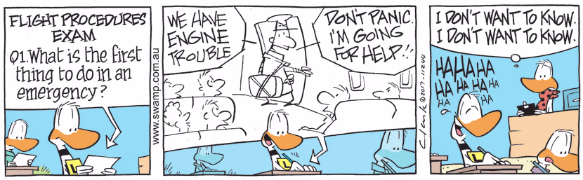 Swamp Cartoon - Flight Procedures ExamApril 27, 2023