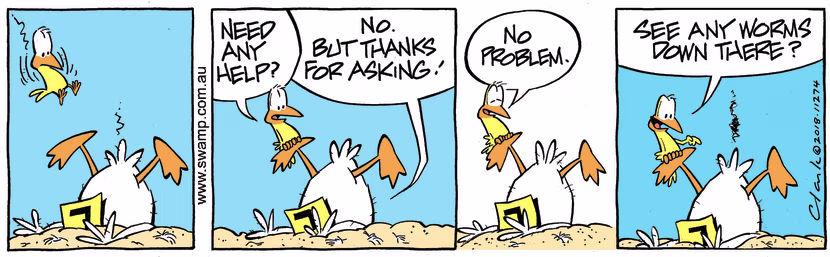 Bird sees Ding Duck has crashed and asks if he needs help which Ding feels grateful he asked. Swamp Cartoon - Ding Feels GratefulMay 16, 2023