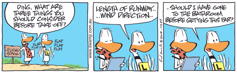 Flight Instructor asks Ding Duck what three things he should consider before take-off. Swamp Cartoon - Consider Before Take-offMay 27, 2023