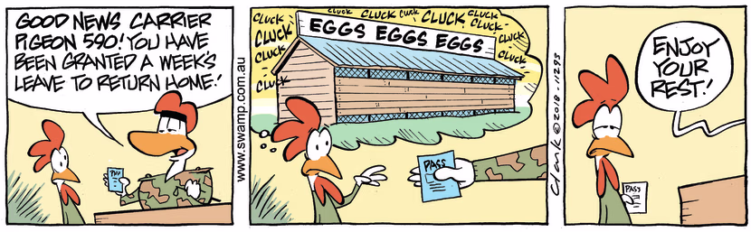 Carrier Pigeon 590 has been granted a weeks' leave to return home but all he can think of is noise of the chicken coop. Swamp Cartoon - Leave to Return HomeMay 30, 2023