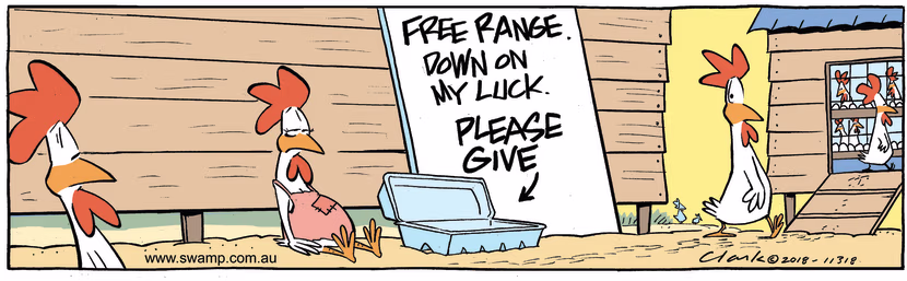 Walking to the coop, chicken sees a free range chicken asking for donations because down on luck. Swamp Cartoon - Free Range ChickenJune 12, 2023