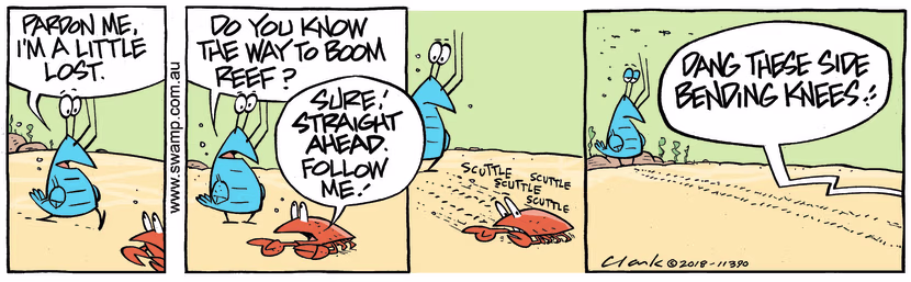 Bob Crayfish is lost and asks a crab the way to Boom Reef and he offers to take Bob there. Swamp Cartoon - Bob Crayfish is LostJuly 13, 2023