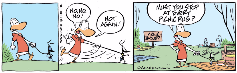 Swamp Duck is walking his pet ant on leash when he's suddenly dragged over to a picnic rug. Swamp Cartoon - Walking His Pet AntJuly 27, 2023