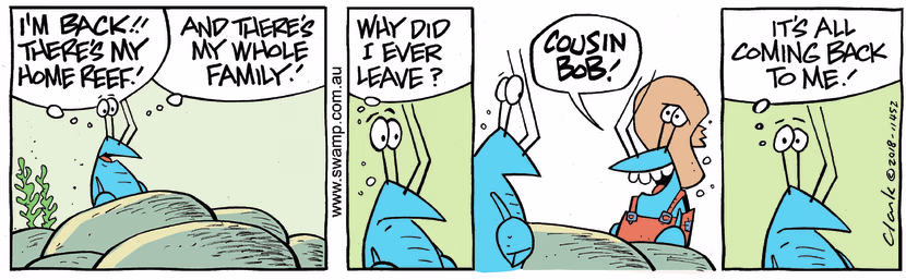 Bob Crayfish is thrilled to be back in his home reef to see his whole family lamenting why he ever left. Swamp Cartoon - Back in His Home ReefAugust 7, 2023
