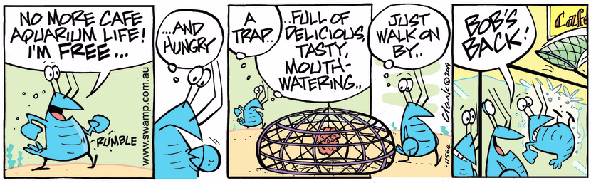 Bob Crayfish is excited he's free from the aquarium until he's hungry and decides he might head back to Swamp Cafe. Swamp Cartoon - Free From the AquariumSeptember 12, 2023