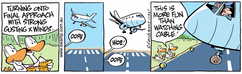 Swamp Ducks are sitting beside the runway watching pilots dealing with gusting crosswinds as they attempt to land. Swamp Cartoon - Gusting CrosswindsNovember 11, 2023