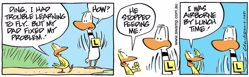 Bird reassuringly tells Ding Duck he too had trouble flying but his dad fixed his problem. Swamp Cartoon - Fixed His ProblemNovember 17, 2023