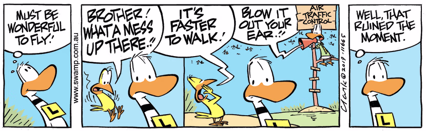 Swamp Cartoon - Ding Duck MomentNovember 29, 2023