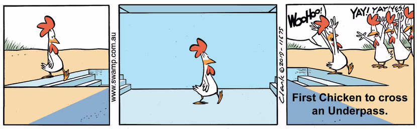 Swamp Cartoon - Swamp Chicken UnderpassDecember 8, 2023