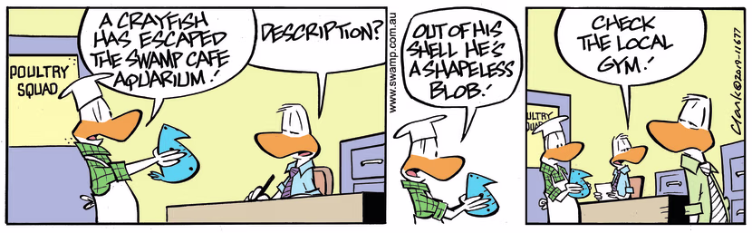Swamp Cartoon - Bob Crayfish GymDecember 11, 2023