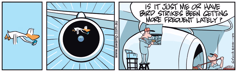 One of the aircraft engineers believes bird strikes are more prevelant these days. Swamp Cartoon - More Frequent Bird StrikesJanuary 12, 2024