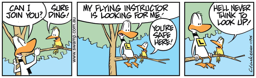 Swamp Cartoon - Flying Instructor Looking for DingFebruary 1, 2024