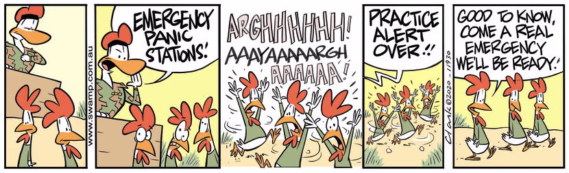 Army Sergeant puts chickens through drill for emergency panic stations and they run screaming. Swamp Cartoon - Emergency Panic StationsFebruary 14, 2024