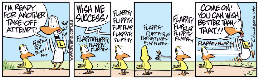 Ding Duck wishes for success in his next take-off attempt but Bird is not so sure. Swamp Cartoon - Ding Duck Wishes for SuccessFebruary 23, 2024