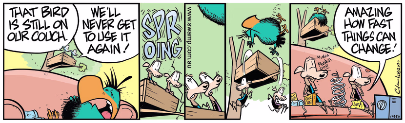 Swamp Cartoon - Bludgerigar Still on CouchMarch 8, 2024