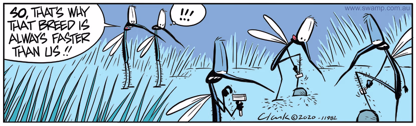 Two mosquitoes discover secret technique why another breed is always faster than them. Swamp Cartoon - Fast Mosquito BreedApril 3, 2024