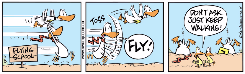 Flight Theory Instructor is providing Ding Duck take-off assistance which seemed like a good idea at the time. Swamp Cartoon - Ding Duck Take-off AssistanceMay 27, 2024