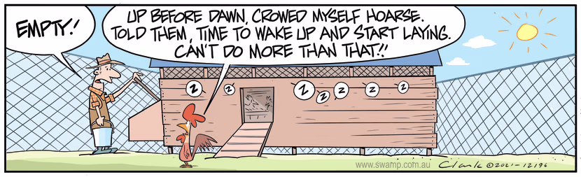 Chicken Farmer is not happy with the Rooster for not waking up the chickens to lay eggs. Swamp Cartoon - Chicken Farmer Not HappyJuly 18, 2024