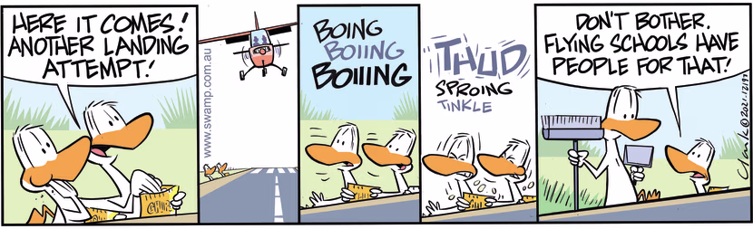 Aviator Ducks watch pilot make another light aircraft landing attempt as he bangs on airstrip. Swamp Cartoon - Light Aircraft Landing AttemptJuly 19, 2024