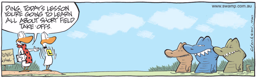 Flight Instructor is giving Ding Duck a lesson in short field take-offs and he has enlisted the help of Rogue Crocs. Swamp Cartoon - Short Field Take-offsFebruary 12, 2022