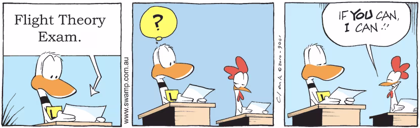 Ding Duck is sitting a flight theory exam and is puzzled to see a chicken doing the exam too. Swamp Cartoon - More Rational ThinkingAugust 23, 2024