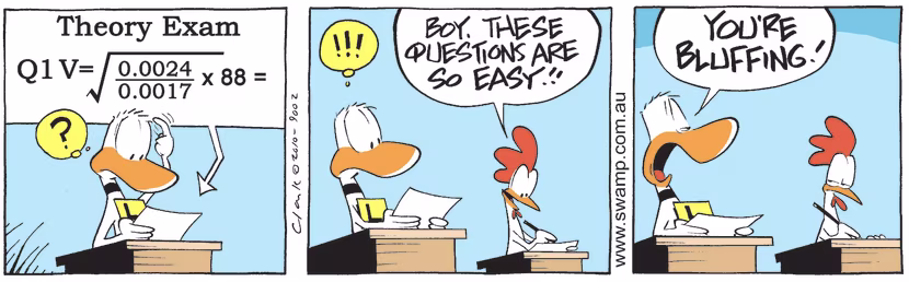 There's a tough flight theory question that's puzzling Ding Duck but chicken says the questions are easy. Swamp Cartoon - Tough Flight Theory QuestionAugust 24, 2024
