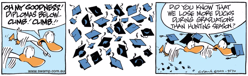 Swamp Cartoon - Flying HazardsSeptember 9, 2024