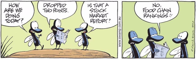 Flies are discussing how they're doing and the latest news indicates they have dropped two points. Swamp Cartoon - Flies Food ChainSeptember 26, 2024