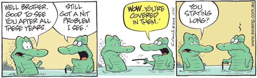 Marvin Crocodile has pointed out Old Man Croc has still got a nit problem. Swamp Cartoon - Got a Nit ProblemOctober 10, 2024