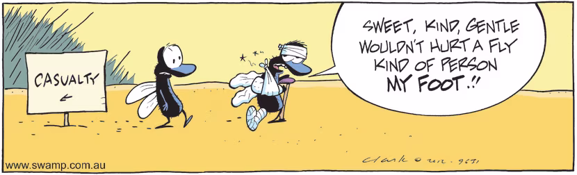 As one fly hobbles from casualty he lamented how his friend said the person was sweet, gentle and wouldn't hurt a fly. Swamp Cartoon - Fly vs Sweet Gentle PersonOctober 30, 2024