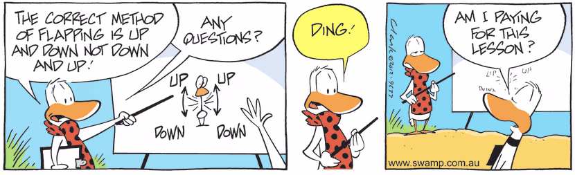 Flight Theory Instructor is explaining to Ding Duck the correct method of flapping is up and down not down and up. Swamp Cartoon - Flight Theory QuestionOctober 31, 2024