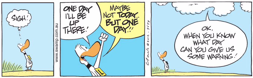 Ding Duck declares to the clouds that one day he'll be up there. Swamp Cartoon - Live in Hope ComicNovember 8, 2024