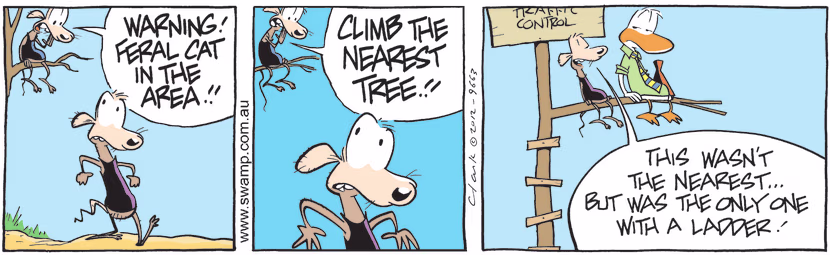 Chives Rat yells to Cheese to climb the nearest tree because there's a feral cat in the area. Swamp Cartoon - Climb the Nearest TreeNovember 12, 2024
