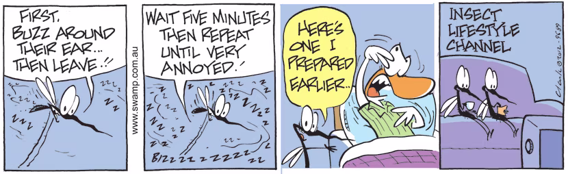 On the Insect Lifestyle Channel, the mosquito is giving advice to buzz around victim's ear, wait five minutes then repeat until they are annoyed. Swamp Cartoon - Mosquito is Giving AdviceMay 26, 2021