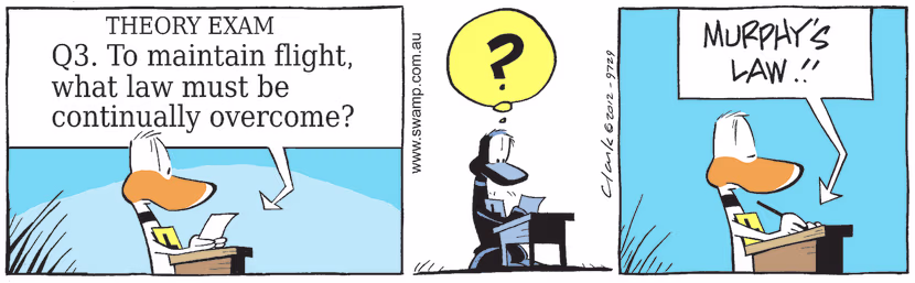 Ding Duck answering question in flight theory exam regarding maintaining flight what law must be continually overcome. Swamp Cartoon - Ding Duck Answering QuestionMay 8, 2021