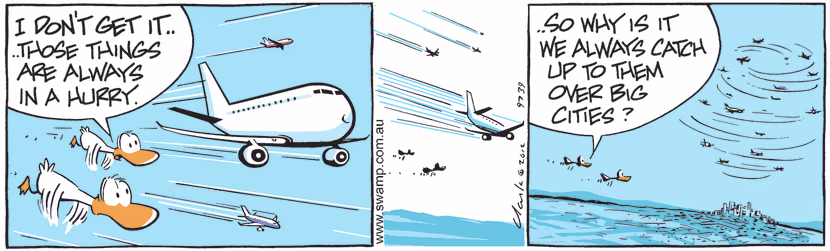 Aviator Ducks overtaken by jets high in the sky but when aircraft come close to the airport they are put in holding pattern and circle for ages before they land. Swamp Cartoon - Aviator Ducks Overtaken By JetsMay 13, 2021