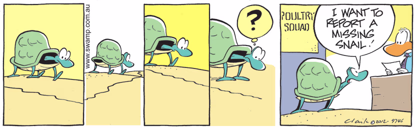 Turtle is mystified because snail trail comes to end so he reports to the Poultry Squad that Snail has gone missing. Swamp Cartoon - Snail Trail Comes to EndMay 18, 2021