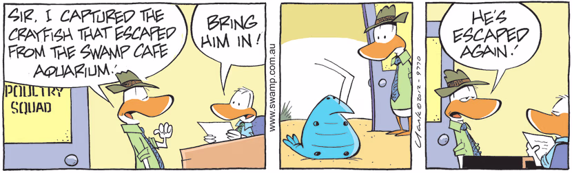 The Poultry Squad capture Bob Crayfish after he escapes from Swamp Cafe Aquarium only to discover he has escaped again. Swamp Cartoon - Poultry Squad Capture Bob CrayfishJune 3, 2021