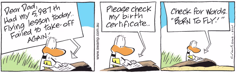 Ding Duck has 5987th flying lesson and writes to his Dad asking him to check his birth certificate contains the words born to fly. Swamp Cartoon - Ding Duck has 5987th Flying LessonJune 4, 2021